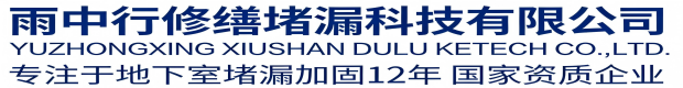 安庆雨中行修缮堵漏科技有限公司
